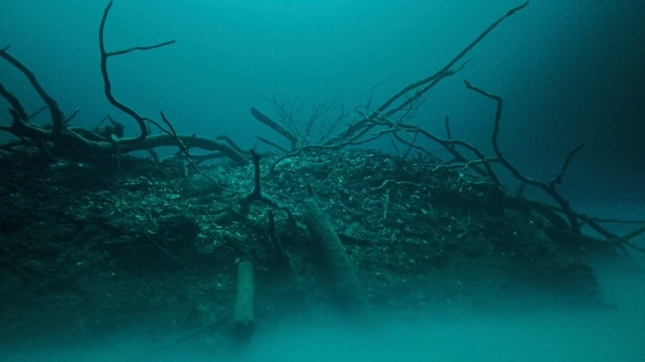 Diving in Cenote Angelita near Tulum, Mexico