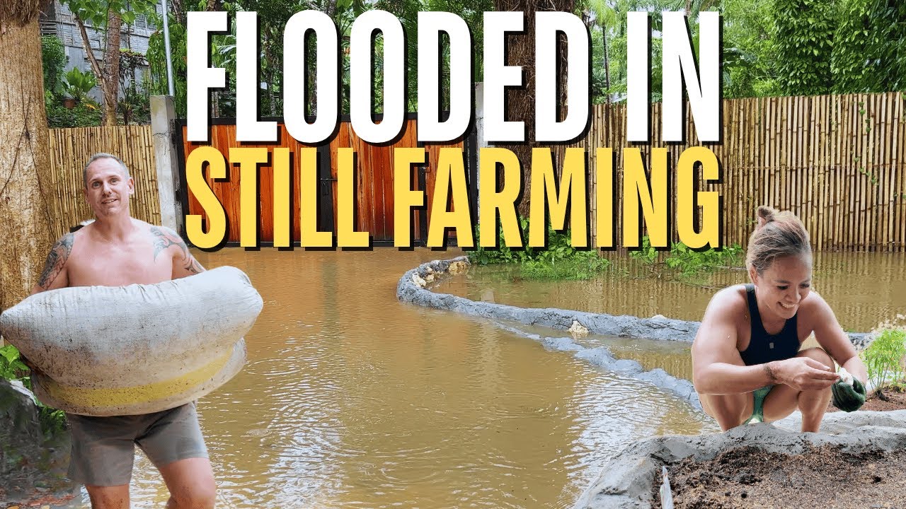 Flooded In & Veggies Planted – A Crazy Off-Grid Homestead Week!