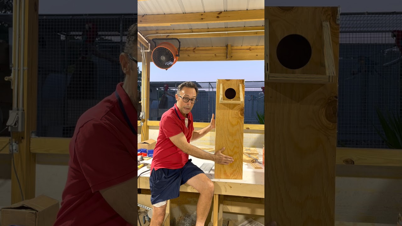 Nest type for Australian parrots (Rosellas, Kings, Barnardius)