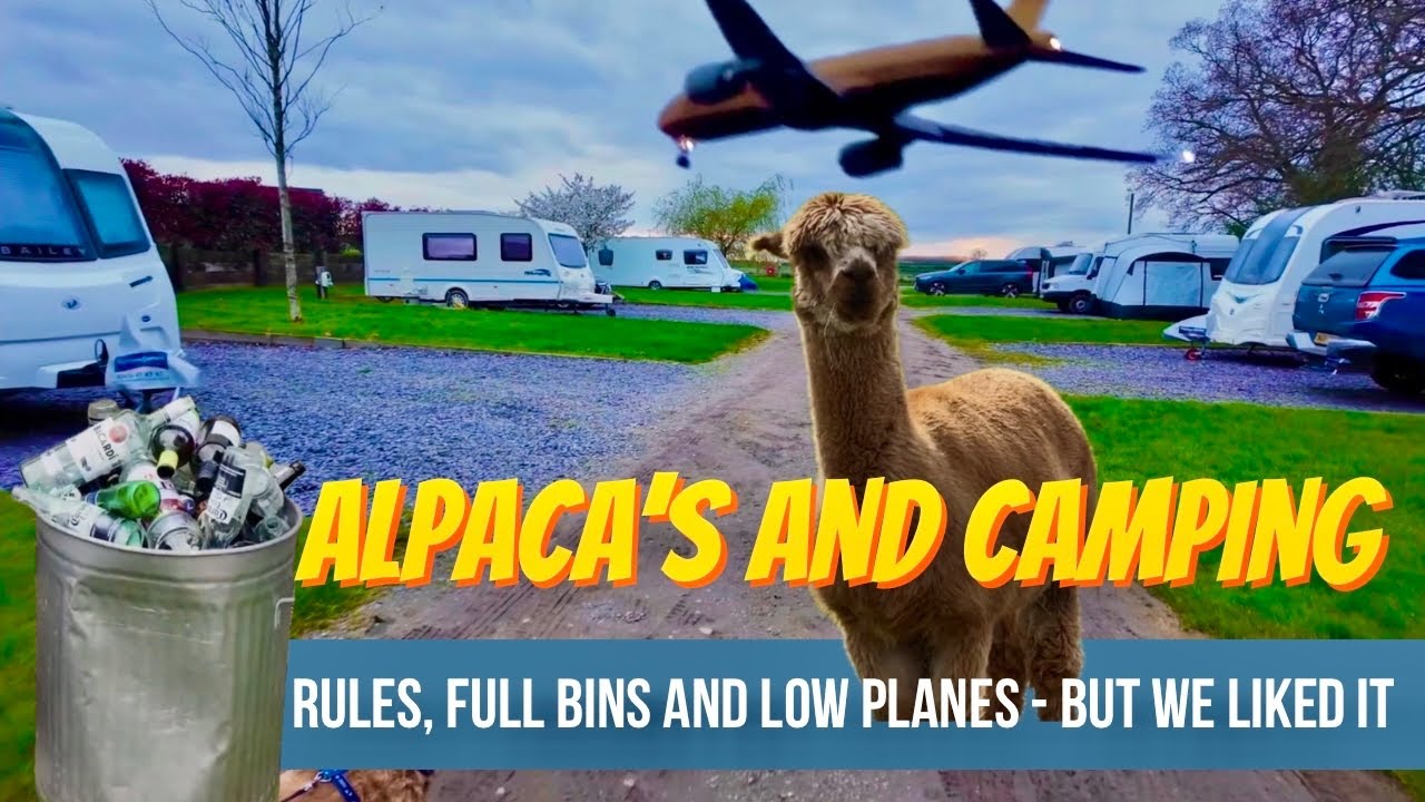 Midshires Way Campsite & Alpaca Farm | Four in a Bed Winners!