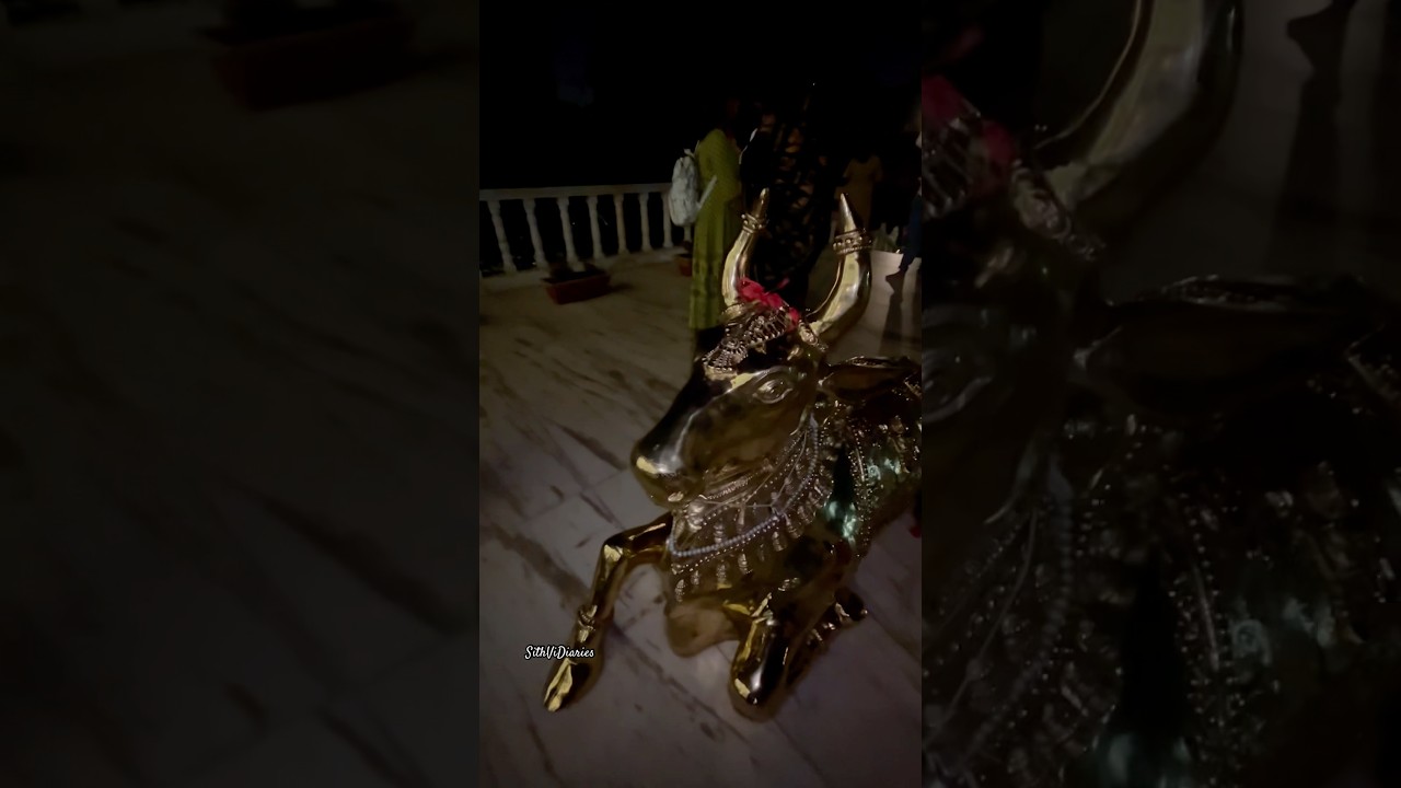 Nandhi  #sivatemple #sivadevotional #shivadevotionalsong #shivatemple #shivadevotees  #shivasongs