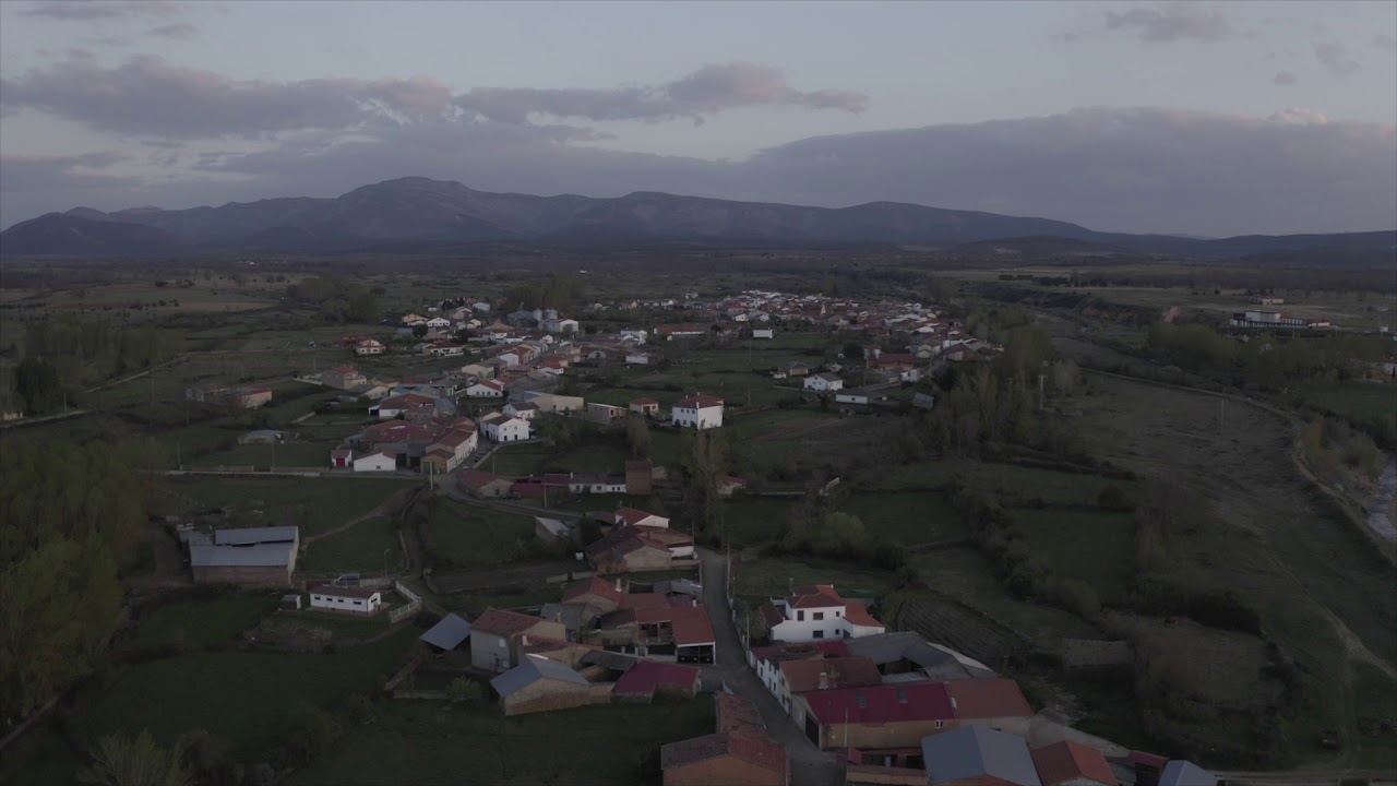 MorasVerdes 🇪🇸