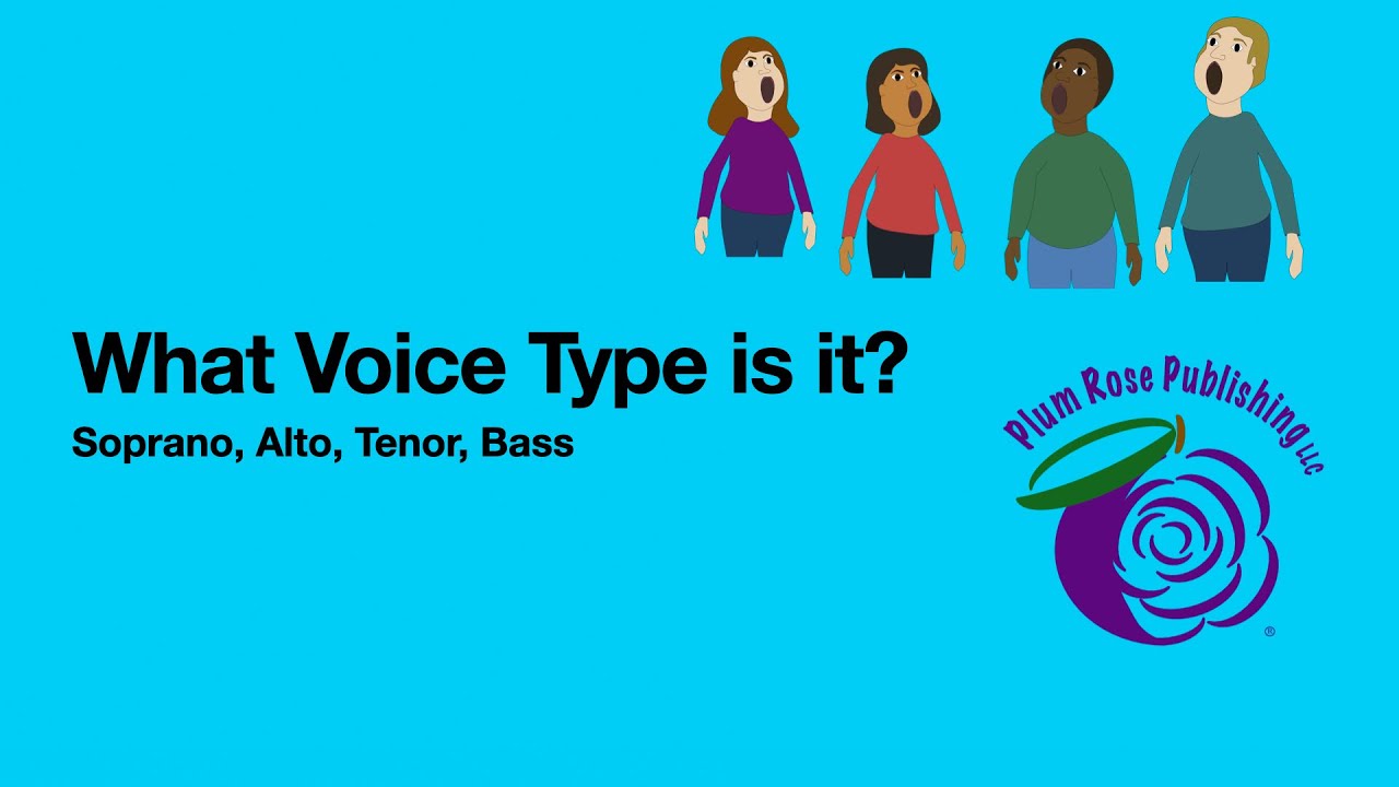 Voice Types Quiz (Soprano, Alto, Tenor, and Bass) by Plum Rose Publishing