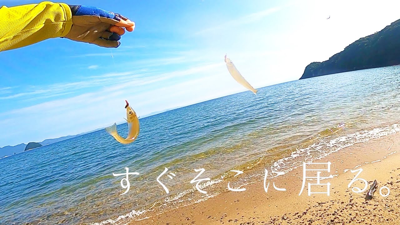 【キス釣り】おまえらそんな所に居たのか。最高に楽しめた1日。