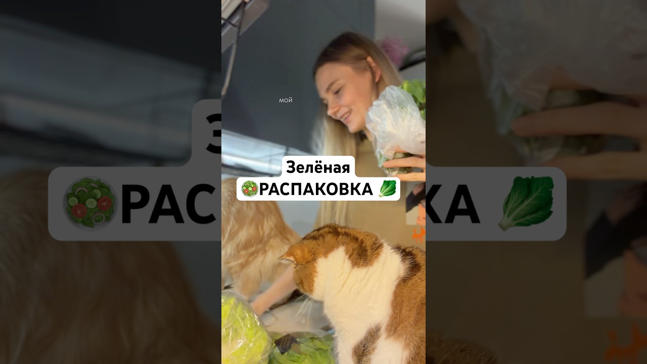 Снова зелёная распаковка 🥬🥗😾 У Василисы все тот же вопрос: &laquo;Где мяско?&raquo; 🤔