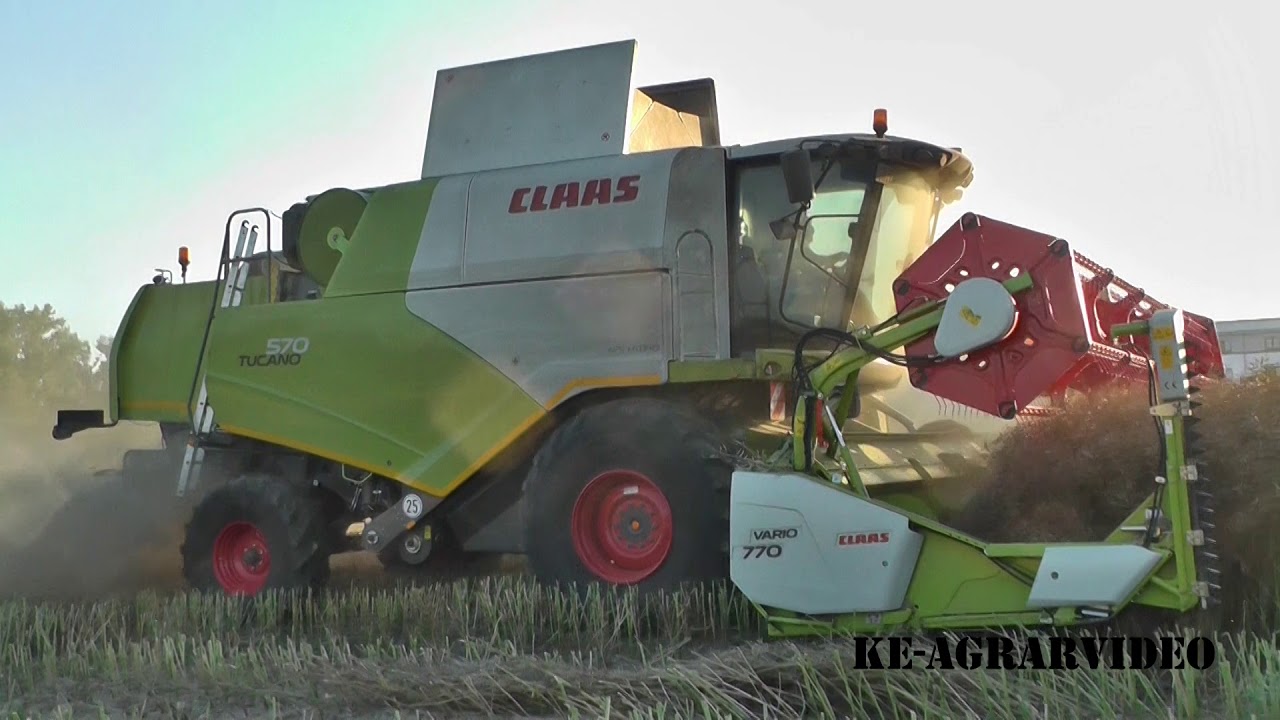 Claas Tucano 570 mit Claas V 770 beim Raps dreschen! [HD]