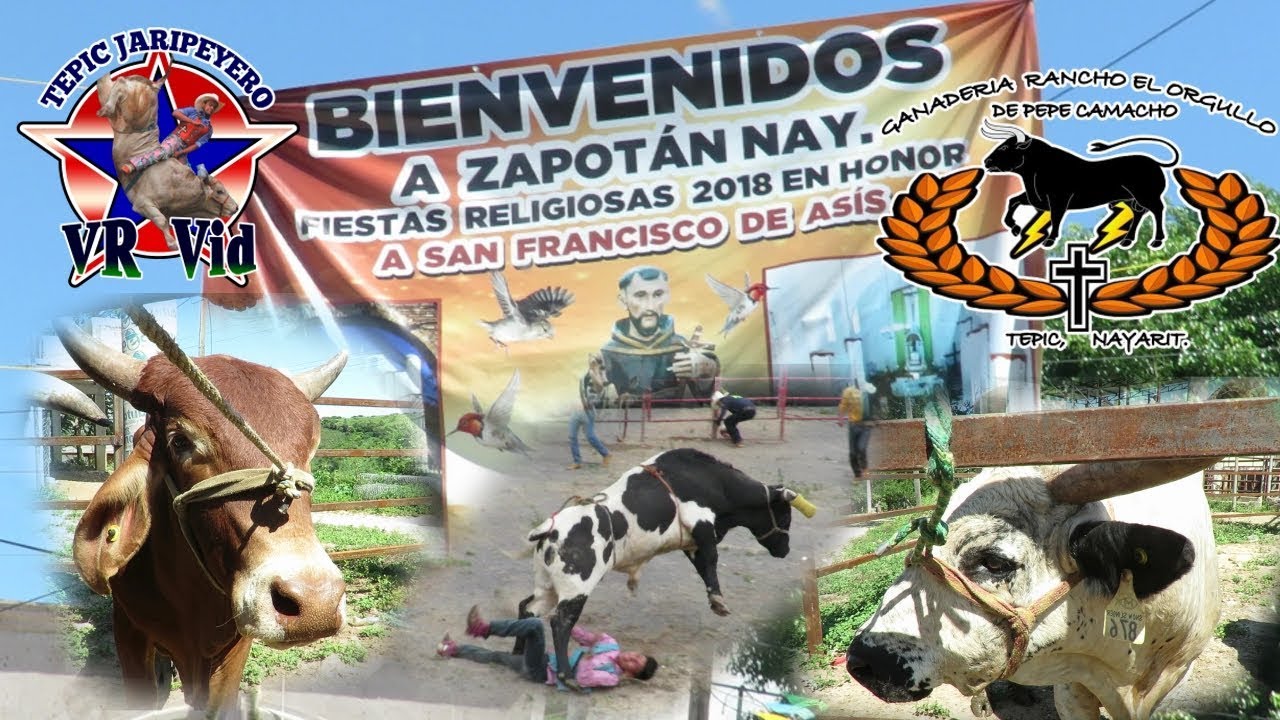 ¡¡¡CAYÓ EL AGUILITA Y EL PARKA POR POCO NO LA CUENTA!!! RANCHO EL ORGULLO EN ZAPOTÁN, NAYARIT