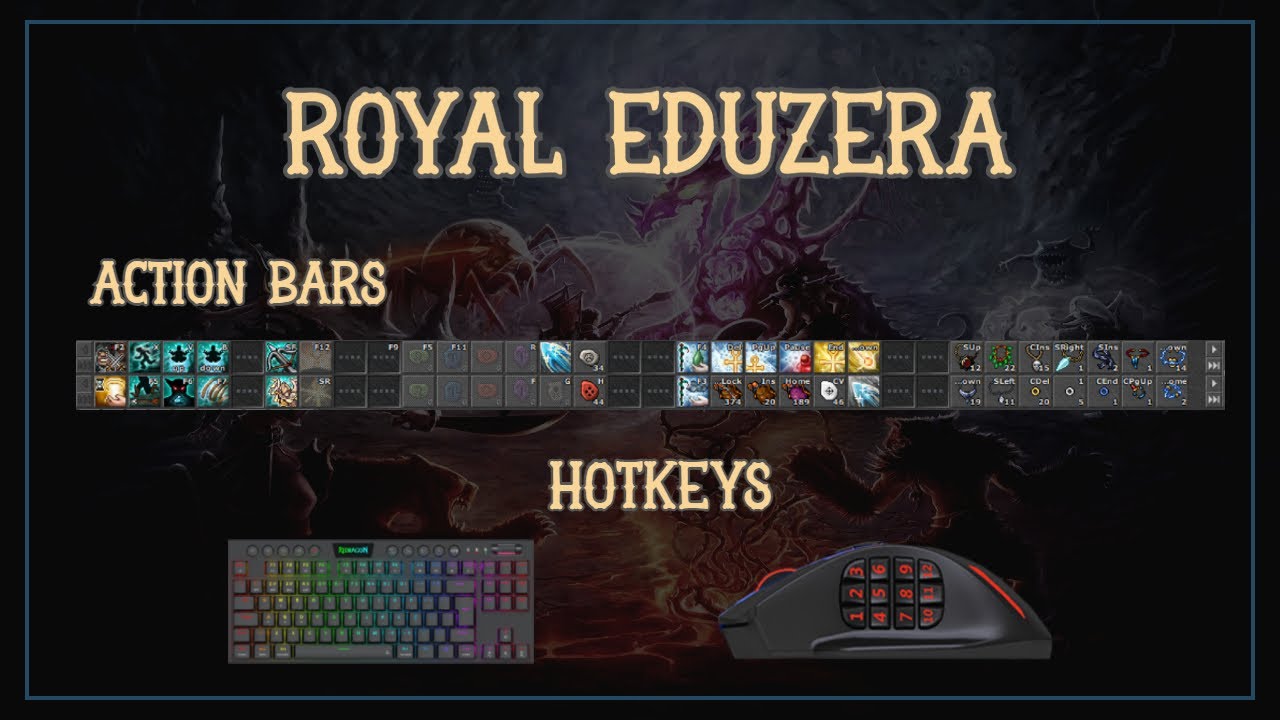 TIBIA ROYAL PALADIN | HOTKEYS E ACTION BARS | FUNCIONA DO LOW AO HIGH LEVEL