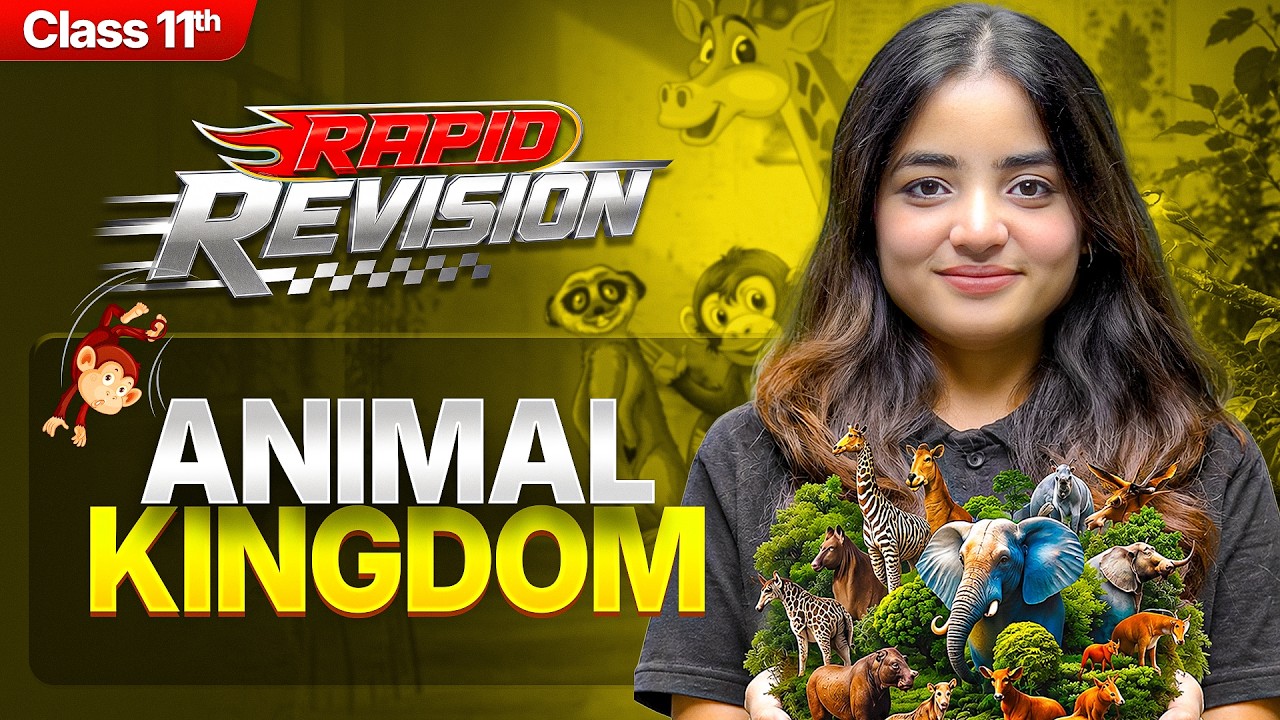 Animal Kingdom in 22 min | Class 11 Biology - Chapter 4 RAPID REVISION | CBSE 2026-27