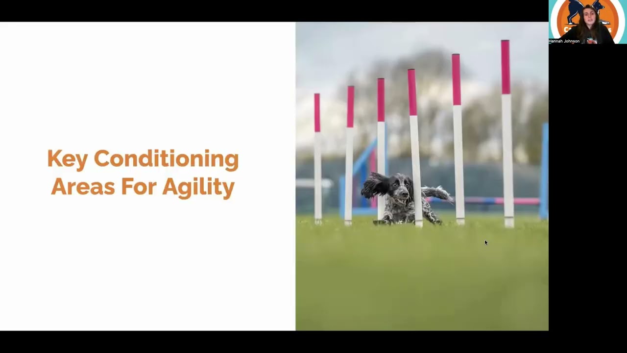 Canine Conditioning For Agility - Mini Webinar