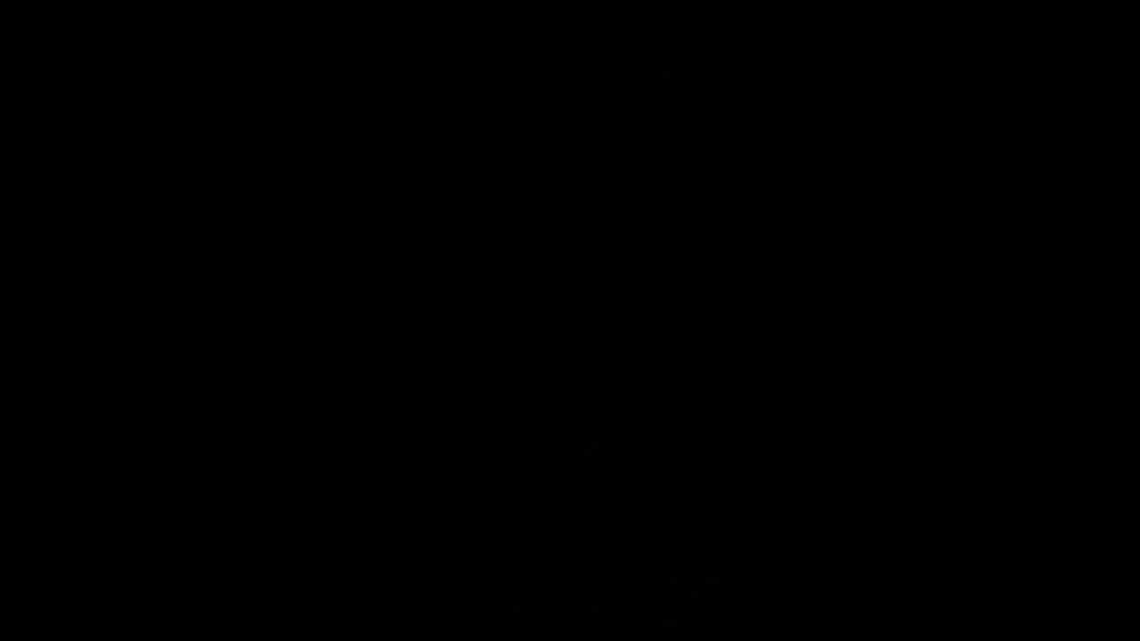 【音声のみ・録音許可済】夜霧の第二国道 フランク永井さん 弾き語りカヴァー フル D 2026.1 瑞庵さんにて
