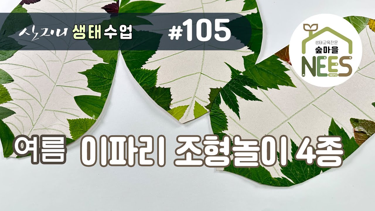 [산지니 생태수업] #105 이파리조형놀이 4종