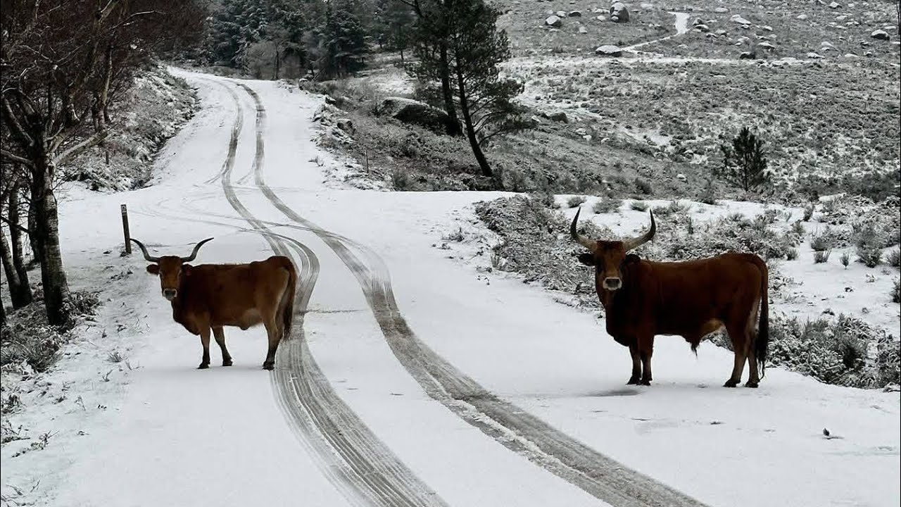 Neve nas Aldeias da Mesa dos 4 Abades | Ponte de Lima
