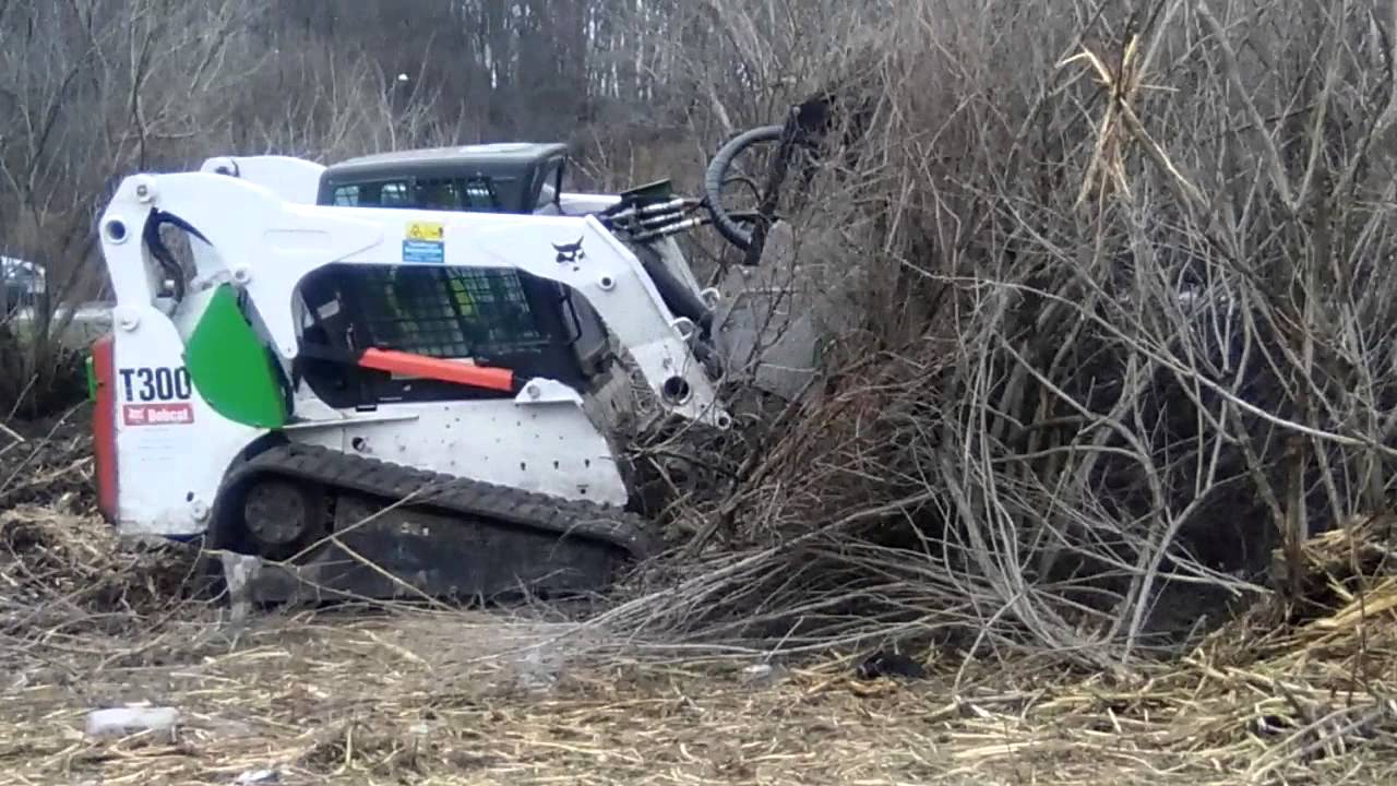 wykaszanie zarośli krzaków forestry cutter mulczer fae