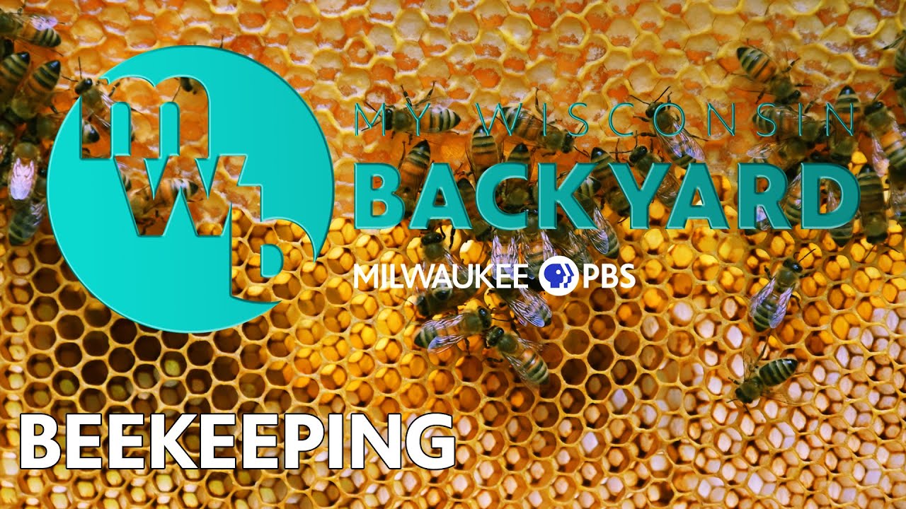 My Wisconsin Backyard | Web Series | Beekeeping