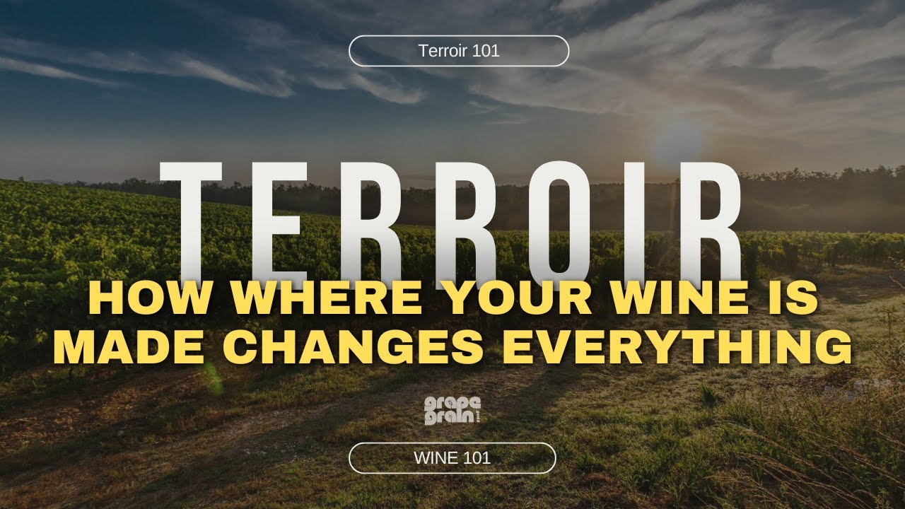 Why Terroir Matters: The Secret to Great Wine