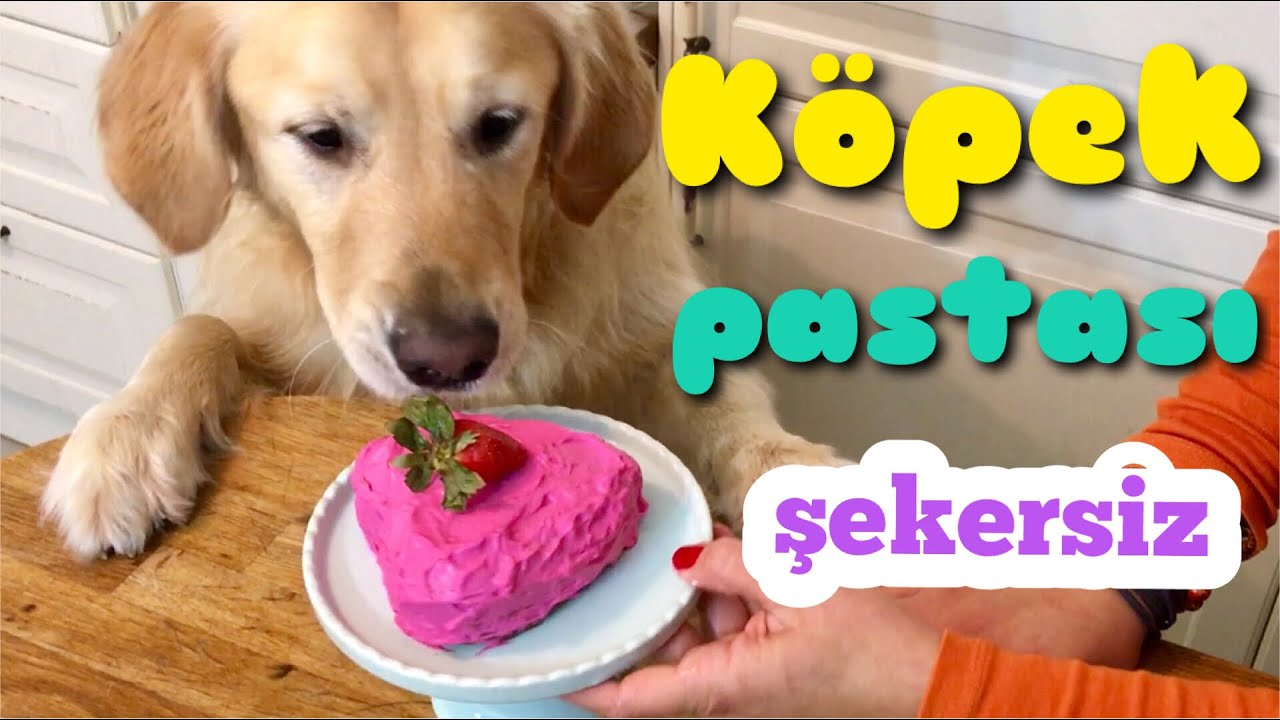 Köpek Pastası * ŞEKERSİZ