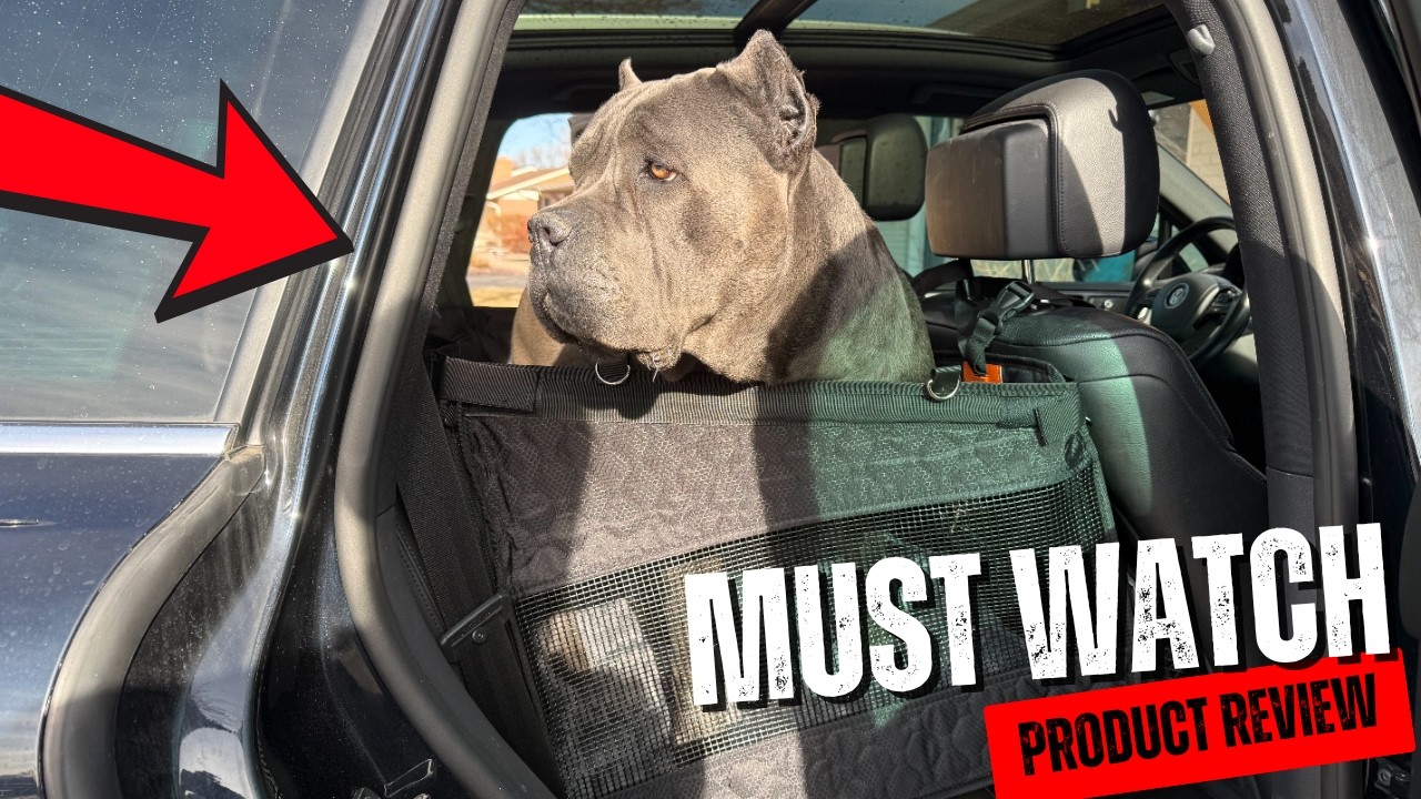 Buatis Large Dog Car Seat Cover with Dog Bed Mat for Back Seat Half -  Is It Worth It? #amazon #ad