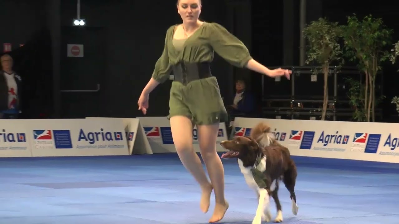 Dog dance world championships 2022, France (Gabi & Hikke)