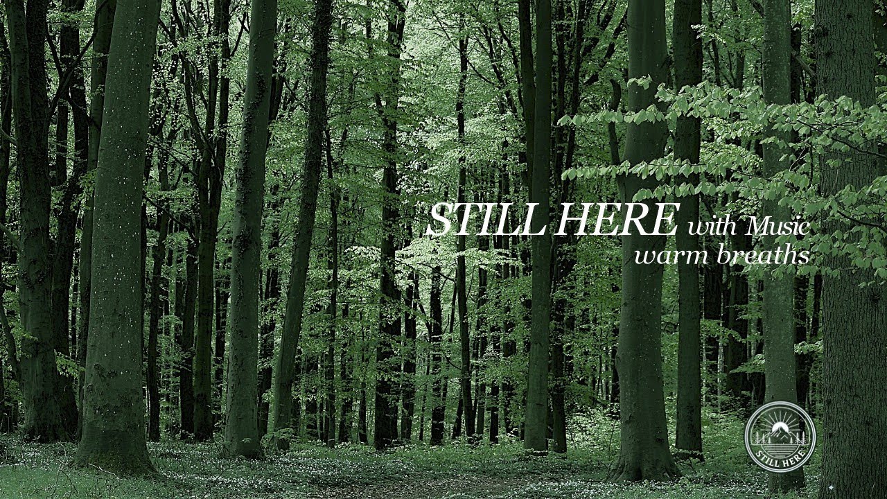 고요한 쉼, 숨과 숨사이 | between breaths | STILL HERE Healing - Letting the Day Flow Slowly