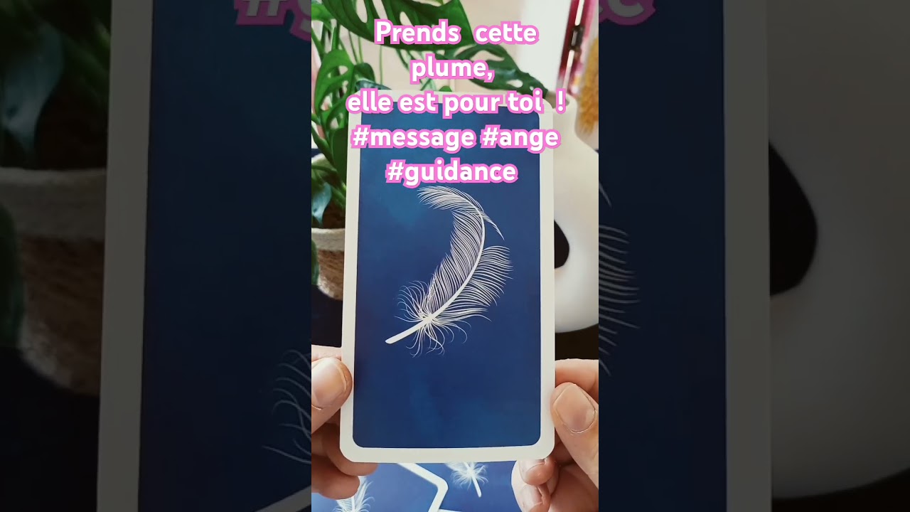 💞Prends cette plume, elle est pour toi 