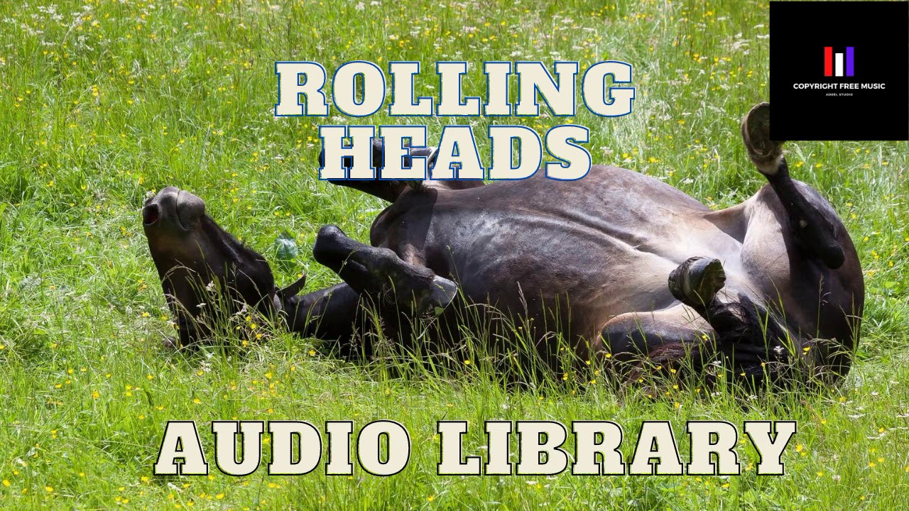 Rolling Heads  - Copyright Free Music