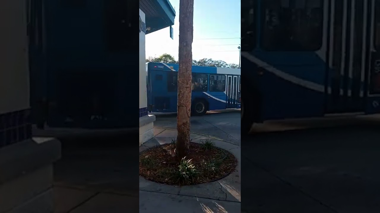 HART Tampa, FL Compilation