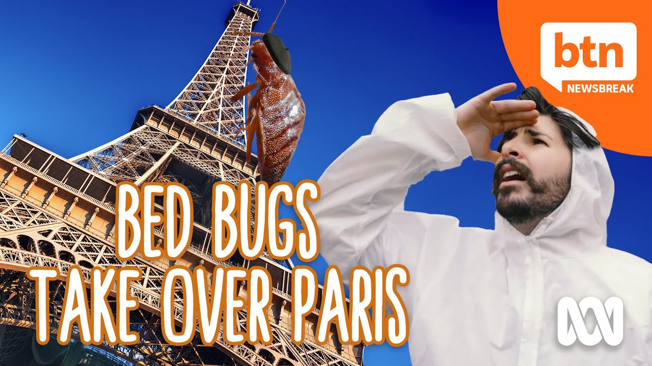 What's Paris doing to solve its bed bug problem?