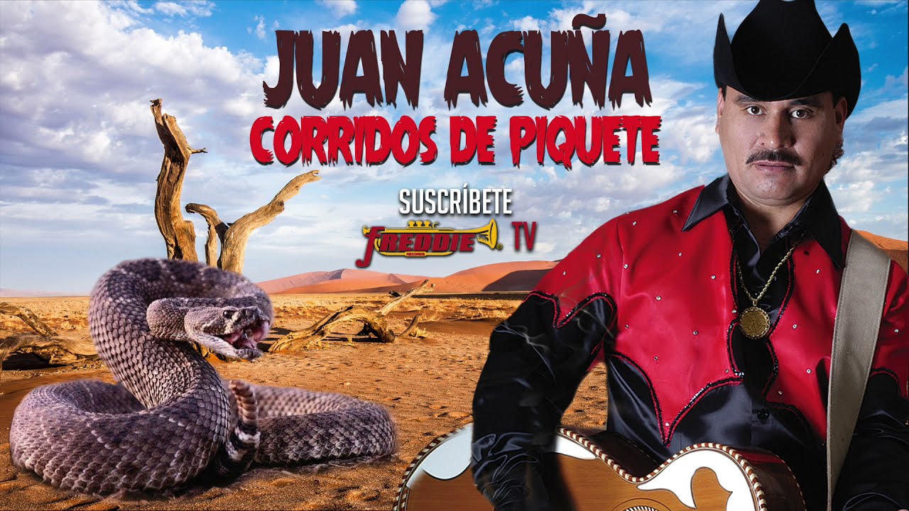 Juan Acuña - Corridos De Piquete // Playlist Oficial