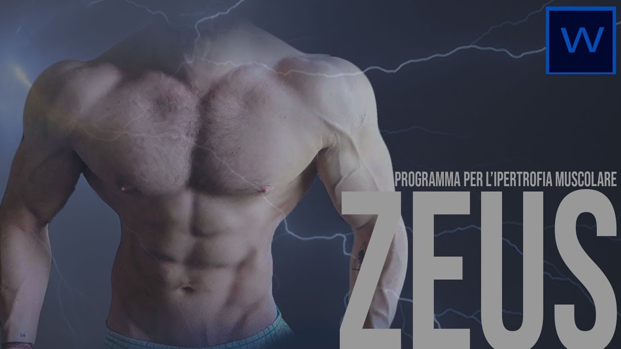 Vi Presento ZEUS.
