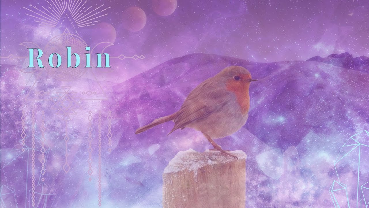 ROBIN Spiritual Meaning 🌈✨ RED ROBIN SYMBOLISM & WHAT HE MEANS? 🌟  🐦 |COLLAB WITH 