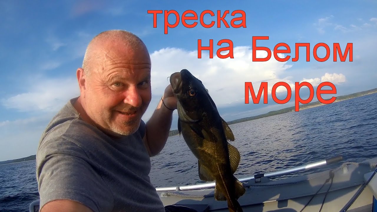 Архангельск, Белое море, треска, форель и не только.
