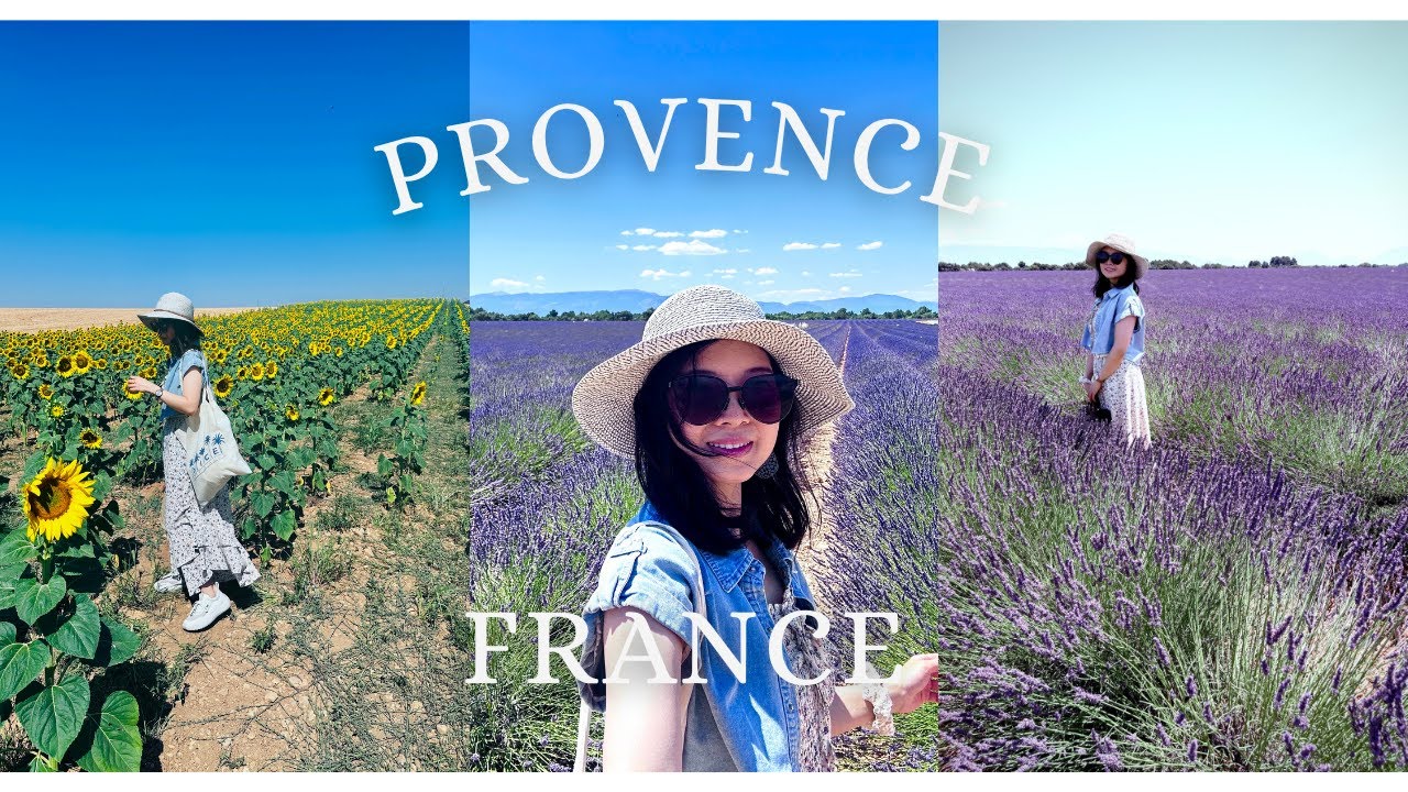 💜Provence Lavenders🪻- A Guide to 4 Breathtaking Lavender & Sunflower fields🪻🌻 Late June Bloom!