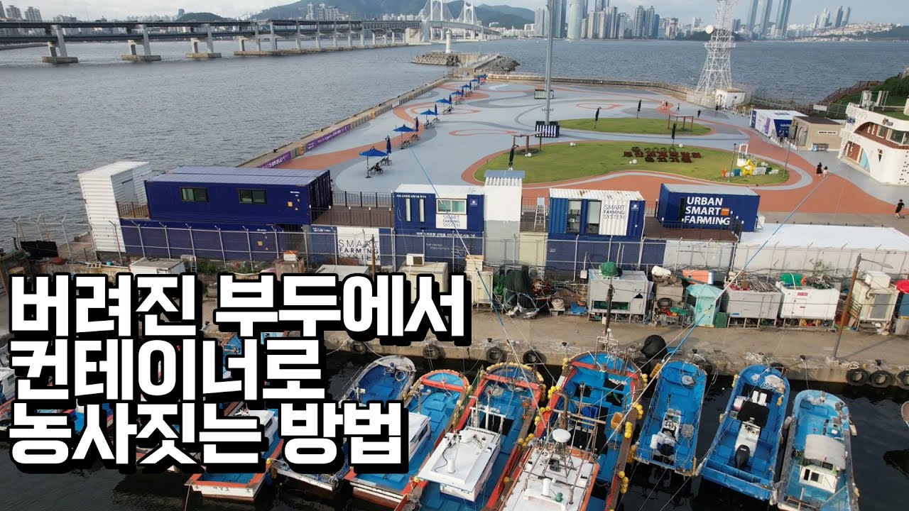 자투리땅에서 농사짓는 컨테이너 스마트팜 연간 수익은?