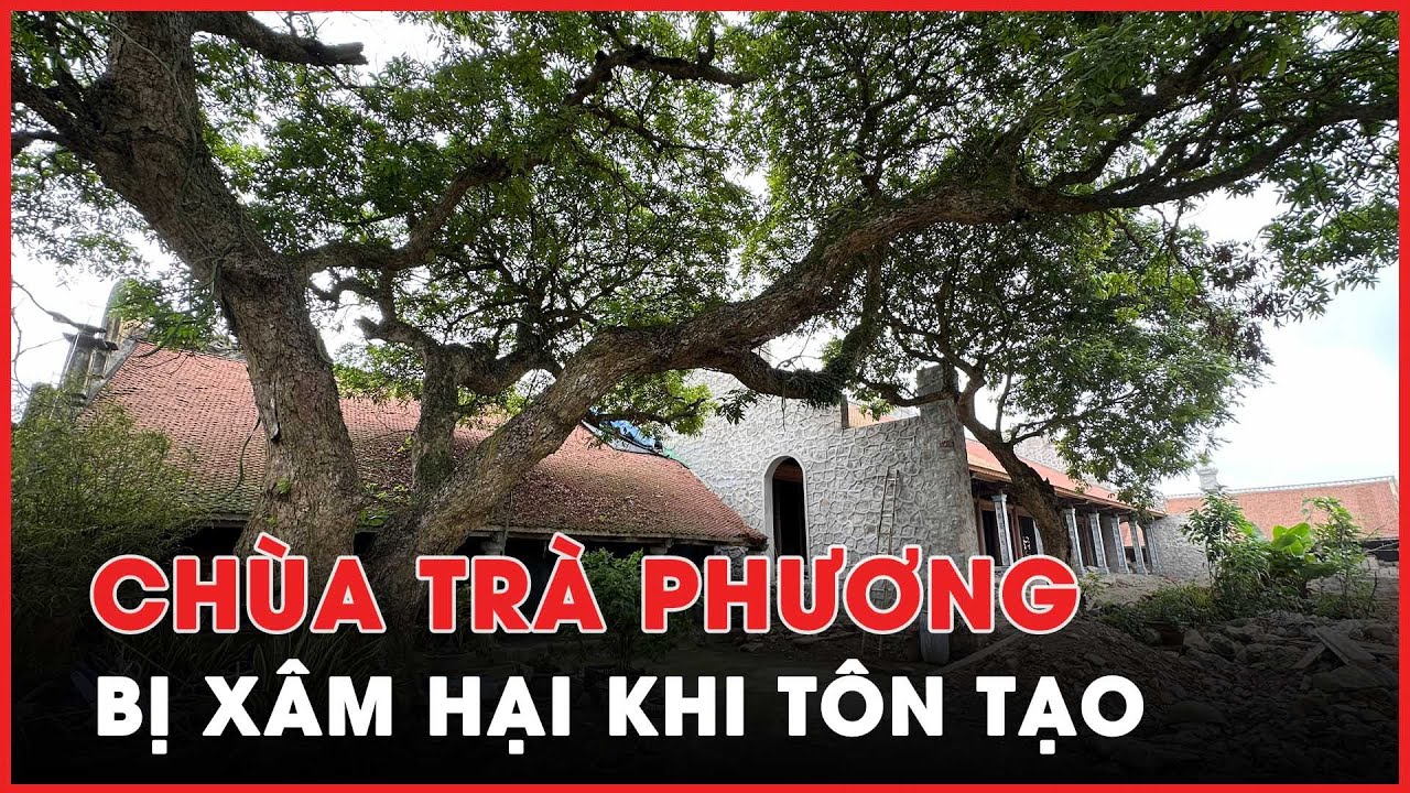 Hải Phòng: Di tích Quốc gia chùa Trà Phương bị xâm hại trong quá trình tôn tạo - PLO