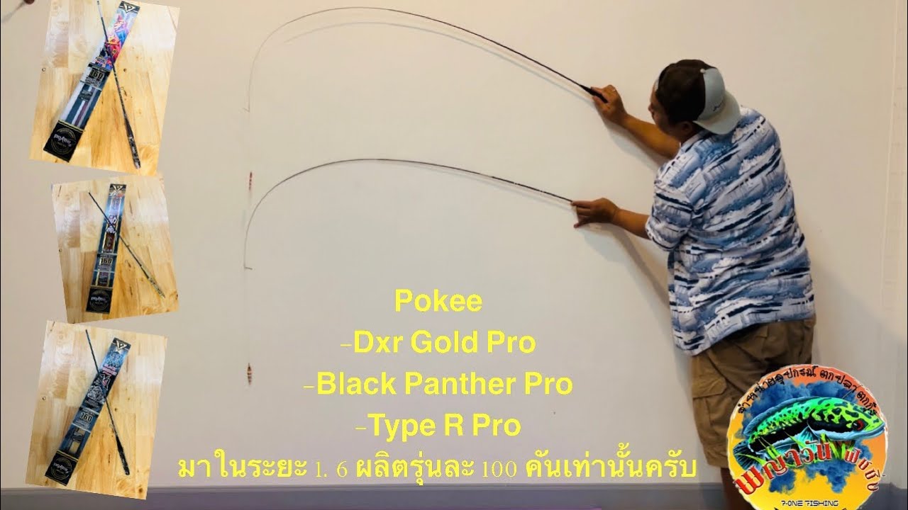 Pokee ระยะ 1.6 ผลิตรุ่นละ 100 คันเท่านั้น