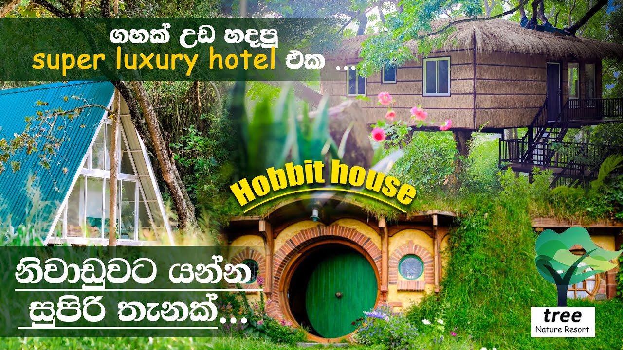 නිවාඩුවට යන්න සුපිරිම තැනක්..    ගස් උඩ හදපු සුපිරි නවාතැන.🤭 Tree Nature Resort  👍 Subscribe 🔔