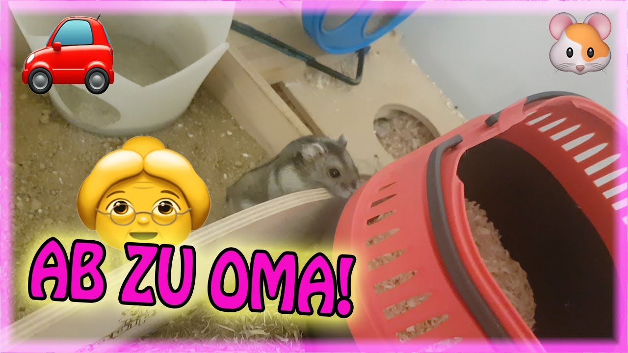 François live ❤ Ab zu Oma
