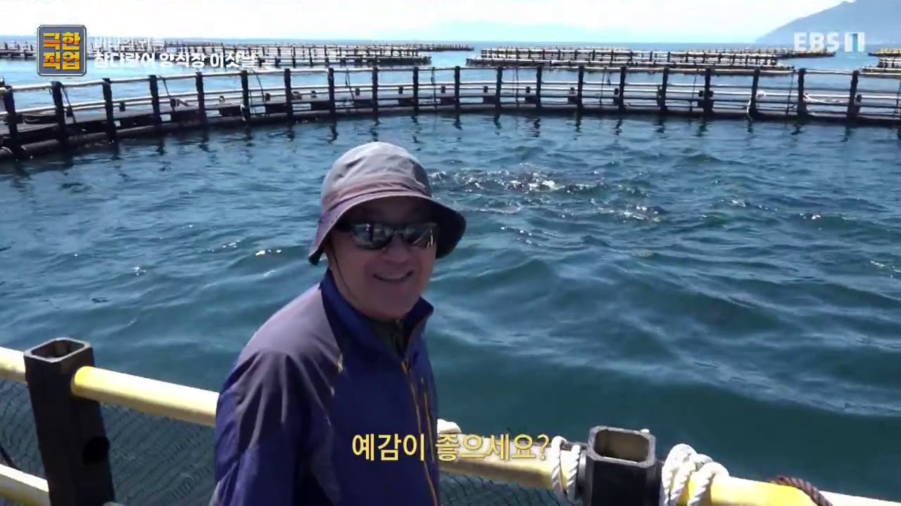 Ebs 극한직업 욕지도 참다랑어양식장