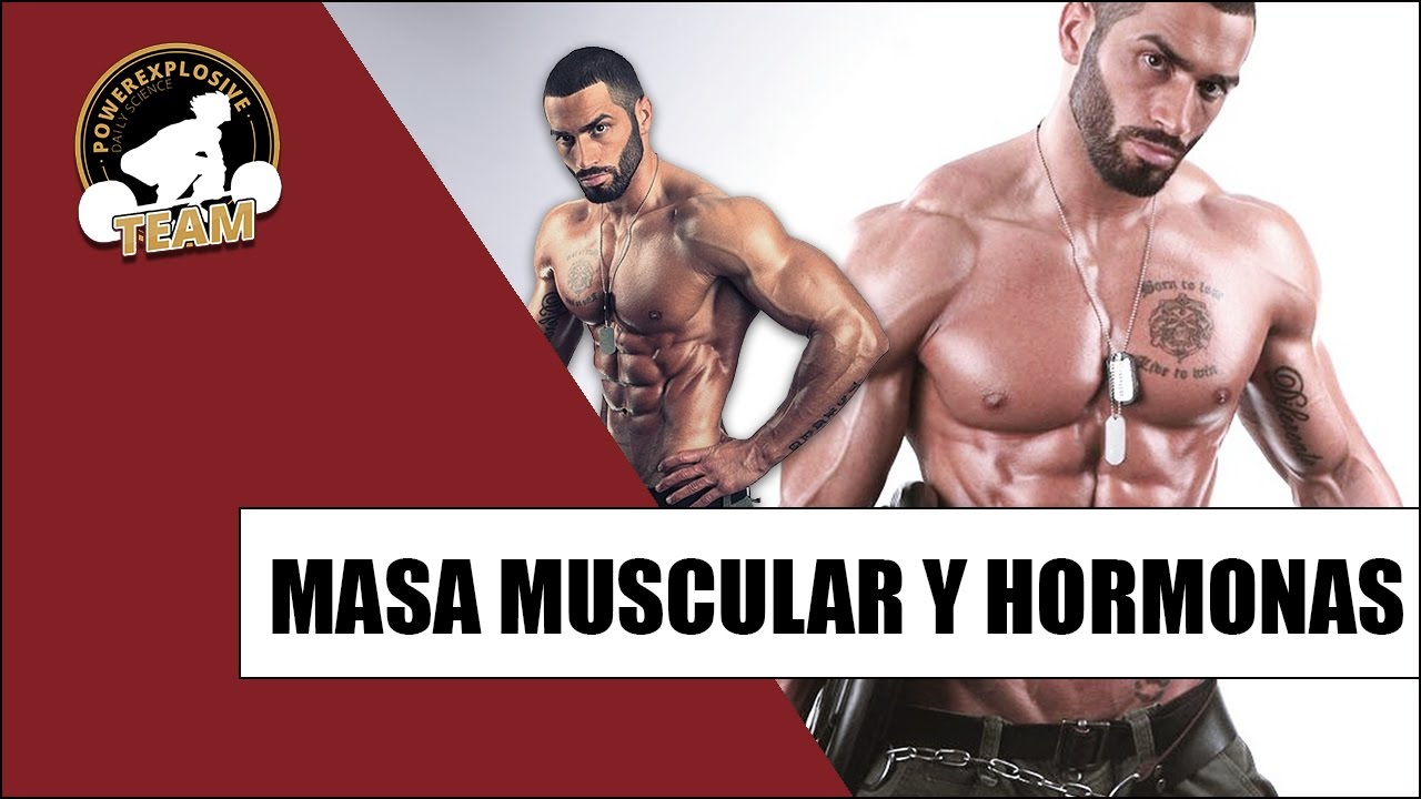 LA IMPORTANCIA DE LAS HORMONAS PARA GANAR MASA MUSCULAR