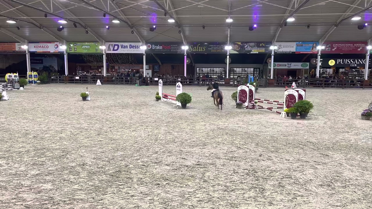 Jumping 80cm | 2 fase special | 4e plaats | Azelhof | Chimaera