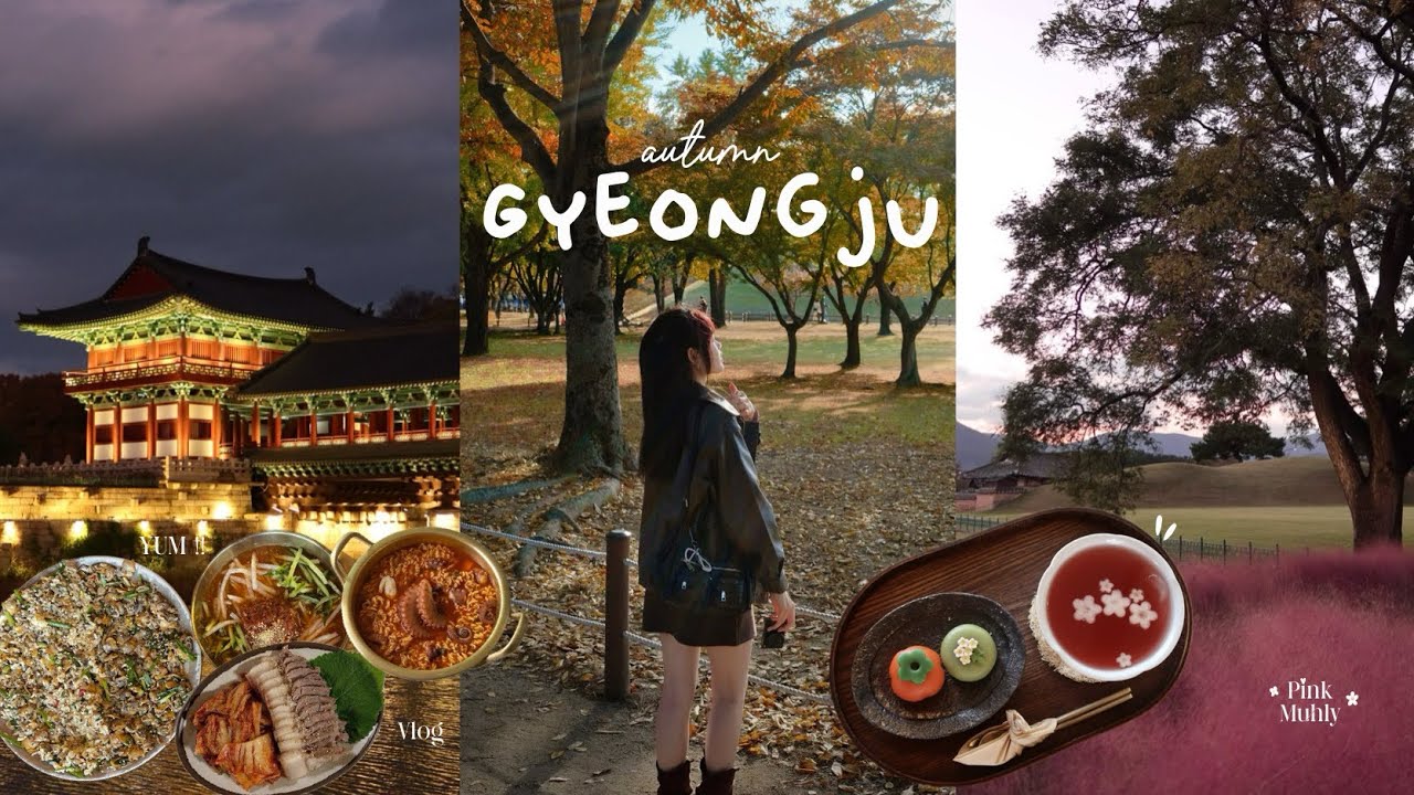 Autumn in korea, Gyeongju vlog 🍂 pink muhly 🌸🌾 maples🍁 woljeonggyo bridge ✨