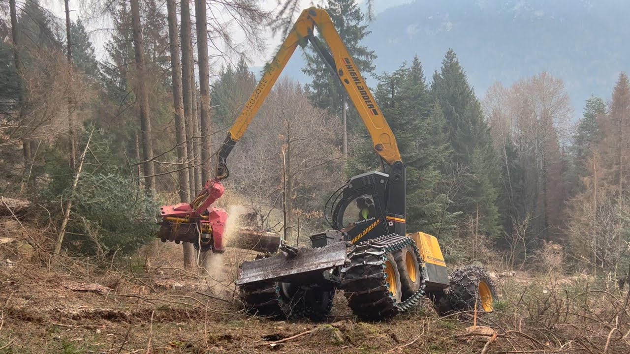 🌲 Forest Peg 🌲 Case CX 210D & Woody H70 ÷ Higlander & Woody H60