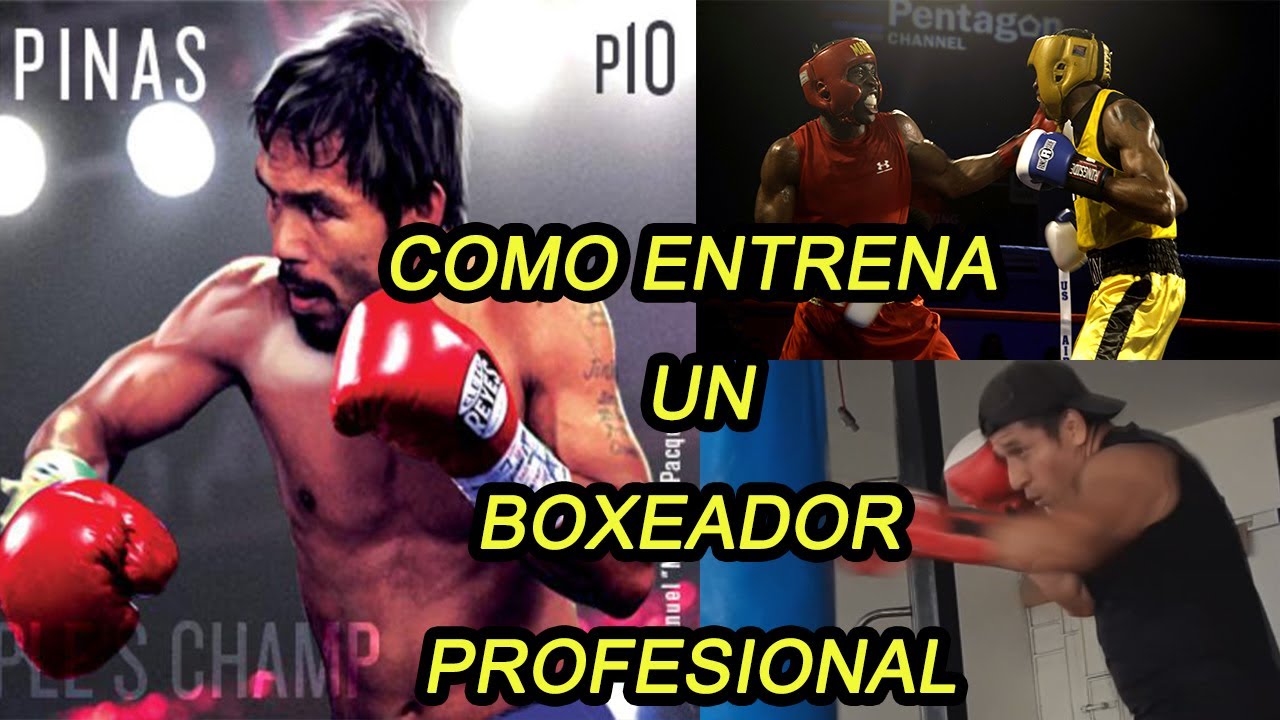 COMO ENTRENA UN BOXEADOR PROFESIONAL- Y COMO PRACTICARLO COMO DEFENSA PERSONAL