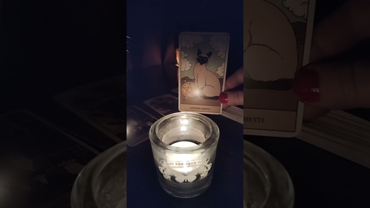 ✨Something Is Changing in Your Life | Tarot Reading | Strong message from the universe✨#tarot 