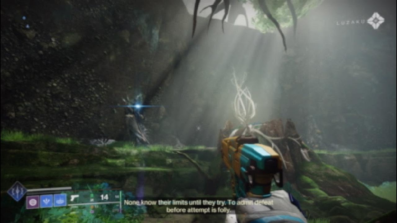 The Blooming Deep | Zavala: 