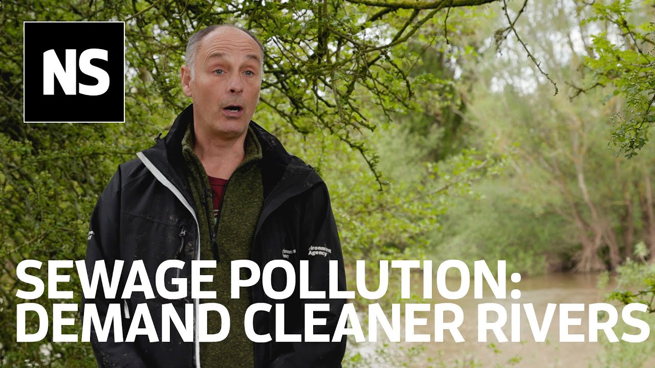 Sewage pollution: Cleaner rivers will come if the public continue to demand it