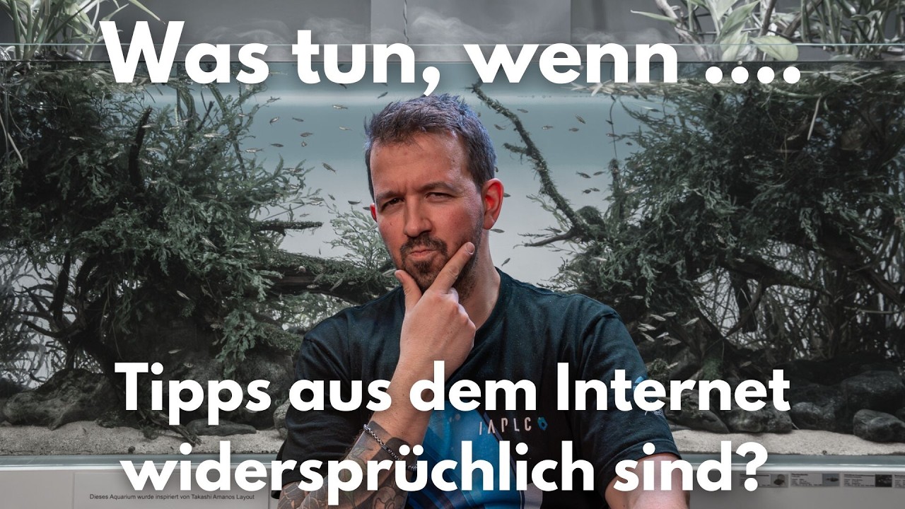 Was tun, wenn Tipps aus dem Internet widersprüchlich sind?