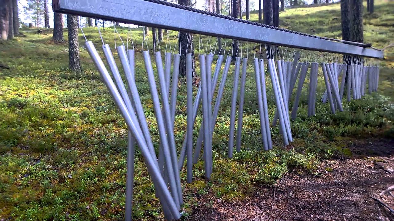 Helinäpuu in Soiva Metsä in Suomussalmi