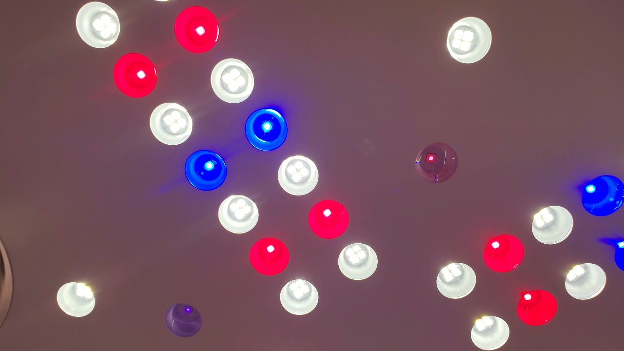Growing Boutique Bud with Optic 8+ NextGen, Optic 4XL & Optic 6 gen 4 - Multi Dimmer Lights